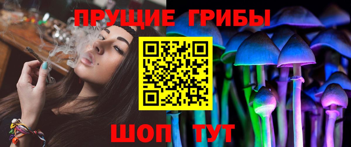 как найти закладки  Вход с VPN  Новоалтайск  Псилоцибиновые грибы ЛСД 